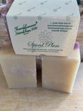 Spiced Plum Olive Oil Soaps