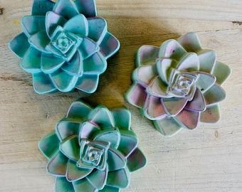 Succulent Green Tea Glycerin Soap